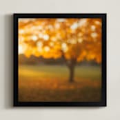 "Oak Knoll Gold" - Art Print in Golden Yellow by Stacy Kron - Framed