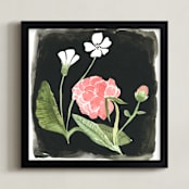 "Nightime Peony" - Art Print in Washed Black by Emilie Simpson - Framed