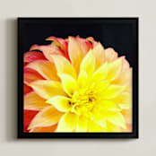 "Spring Noir 9" - Art Print in Sunrise by Sarah Johnson - Framed