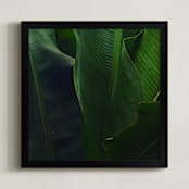 "Spring Noir 8" - Art Print in Jungle by Sarah Johnson - Framed