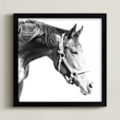 "Quiet Gaze" - Art Print in Dapple Grey by Karen Kaul - Framed