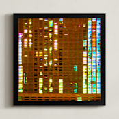 "Windows Data" - Art Print in Ruddy Brown by Jeff Preuss - Framed
