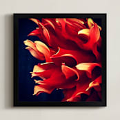 "Spring Noir 7" - Art Print in Candy Apple by Sarah Johnson - Framed