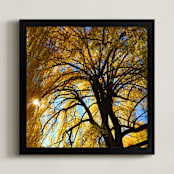 "Golden Ray Day" - Art Print in Golden Ray by Giulia Doyle - Framed