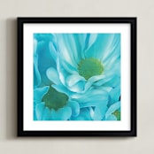 "Petal-Floret Cosmos" - Art Print in Blueberry Cheesecake Blue by Mariecor Agravante - Framed