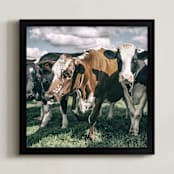 "Three Cows" - Art Print in rusty brown by Alexis Arnold - Framed
