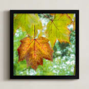 "Leaf Me Alone" - Art Print in Leafy Orange by Andy Mars - Framed