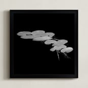 "Free-floating" - Art Print in Ebony by Johanna Phillips Huuva - Framed