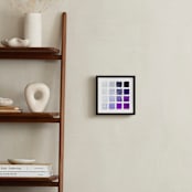 "Shades of Grape" - Art Print in Vineyard Purple by Stacy Kron - In a Room