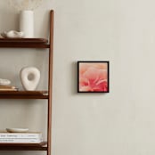 "sherbet rose 3" - Art Print in peach rose by Niki Digrigorio - In a Room