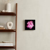 "Spring Noir 4" - Art Print in Pop by Sarah Johnson - In a Room