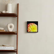 "Spring Noir 9" - Art Print in Sunrise by Sarah Johnson - In a Room