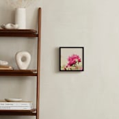 "Stretching Forth" - Art Print in Peony by Erin Niehenke - In a Room