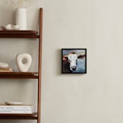"Young Calf" - Art Print in Burnt Sienna by Amanda Phelps - In a Room