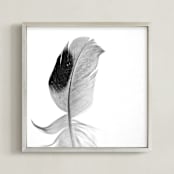 "Ruffled Feather" - Art Print in Black and White by Sarah Luna - Framed