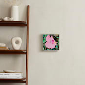 "Hi, Biscuits!" - Art Print in Pink by AMANDA LOMAX - In a Room