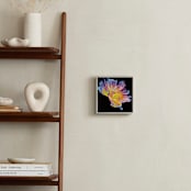 "Betta World" - Art Print in Sunburst Yellow Gold by Mariecor Agravante - In a Room