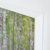 "Summer Birches" - Art Print in forest green by Amy Hall - Frame Close-up
