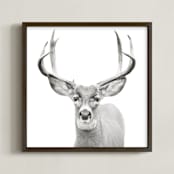 "Buck" - Art Print in Black and White by Stephanie Sherman - Framed
