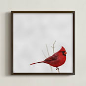 "Bird One: Cardinal" - Art Print in Cardinal by Colin Stuart - Framed