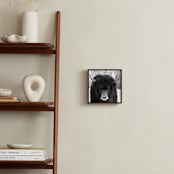 "Winter's Soul" - Art Print in Onyx by Leslie Le Coq - In a Room