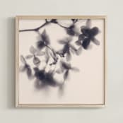 "Veiled Petals" - Art Print in Soft Pink by Karen Kardatzke - Framed