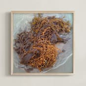 "California Kelp" - Art Print in California Gold by aeryn donnelly design - Framed