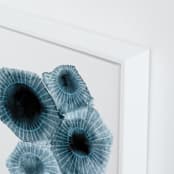 "fossilized rock" - Art Print in Dark Ocean by Tanya Lee of Frooted Design - Frame Close-up