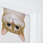 "Derpy Upside Down Cat" - Art Print in nutty by Deborah Chou - Frame Close-up