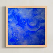 "Moon Jellies" - Art Print in Electric Blue by Mechelle Gilford - Framed