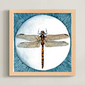 "Dragonfly Study I" - Art Print in Turquoise Blue by Stephanie Toral - Framed