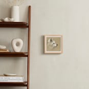 "Dust Bunny" - Art Print in Perfect White by Tracy Ann - In a Room