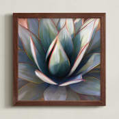 "Dreamy Succulent" - Art Print in Peach by Becky Nimoy - Framed