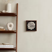 "Camelia Mandala" - Art Print in Soft Sepia by Julia Preminger - In a Room
