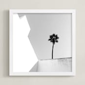 "Structured Palm" - Art Print in Black & White by Zani van Zyl - Framed