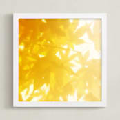 "sun bathing leaves" - Art Print in Golden Yellow by Amy Chapman Braun - Framed