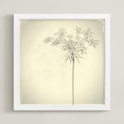 "open an umbrella" - Art Print in black and white by Qing Ji - Framed