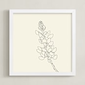 "Lupine" - Art Print in charcoal on ivory by Jorey Hurley - Framed