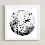 "Queen Anne's Lace" - Art Print in Pale Grey by Nature Inspired - Framed