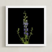 "stunning summer" - Art Print in purple by raven erebus - Framed