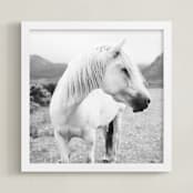 "Field Horse" - Art Print in Black and White by Natalie Uprichard - Framed