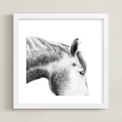 "Grey Horse" - Art Print in White by Jessica C Nugent - Framed