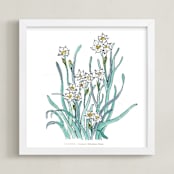 "Birth Flower - December -  Narcissus" - Art Print in with text by Qing Ji - Framed