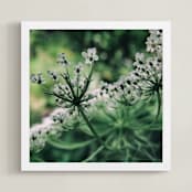 "Under Queen Anne" - Art Print in Emerald Green by Donna Rosser - Framed