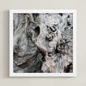"Driftwood" - Art Print in Aged Gray by Jayna B - Framed