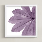 "Leaf in Lilac" - Art Print in Lilac by Jonathan Brooks - Framed