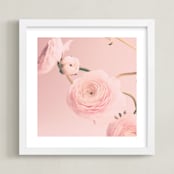 "Cotton Ranunculus" - Art Print in dusty pink by Caroline Mint - Framed