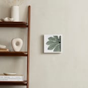 "Leaf In Green" - Art Print in Mint Green by Jonathan Brooks - In a Room