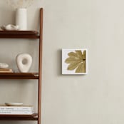 "Leaf in Amber" - Art Print in Amber by Jonathan Brooks - In a Room