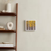 "Fall Birches" - Art Print in Golden Orche by Amy Hall - In a Room